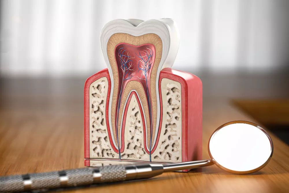 Endodontic (Root Canal) Treatment